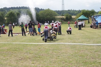 Týnec u Horažďovic 2014 (3)